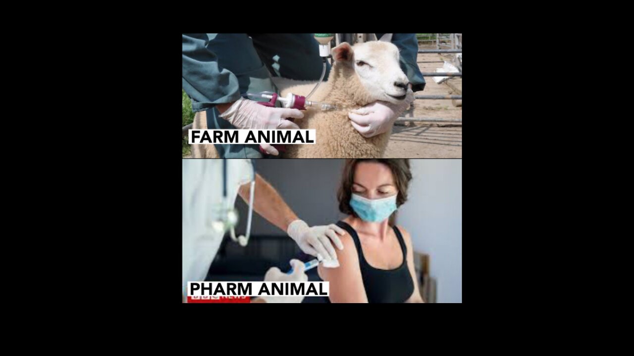 THE VACCINE FRAUD TO ENSLAVE HUMANITY in 400 videos / 400 seconds