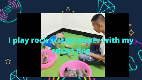 I play rock scissors paper with my smart dog