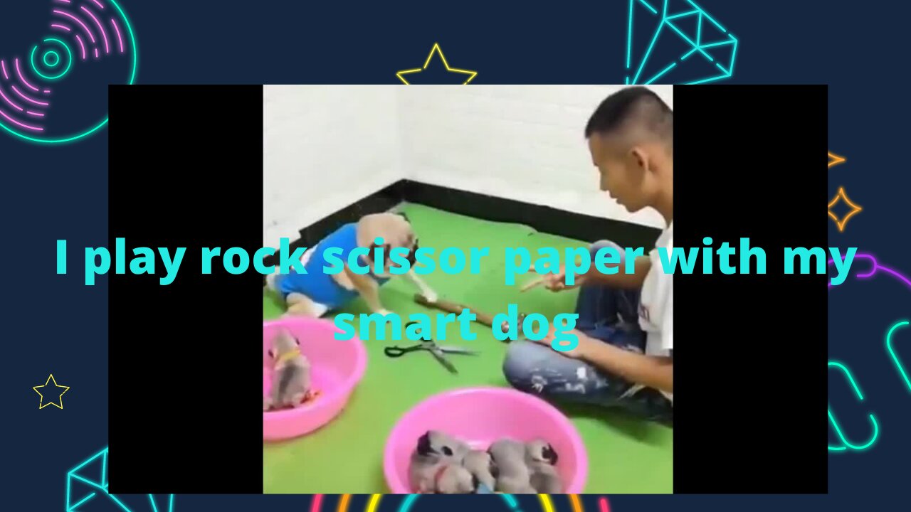 I play rock scissors paper with my smart dog