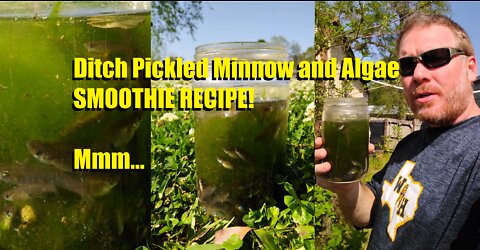 Ditch Pickled Minnow and Algae Smoothie Recipe... A Sushi lovers dream