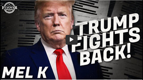 A Breakdown of Trump’s Most Recent Moves | Mel K