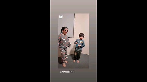 funny videos
