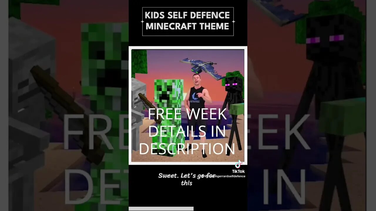 KIDS SELF DEFENCE MINECRAFT THEMED - KIDS AGED 3-12 yrs, FREE WEEK LINK IN DESCRIPTION