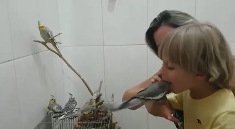 Unbelievable to see this child eat the cockatiels