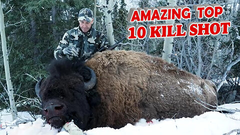 AMAZING TOP 10 Kill Shot Countdown | Greg McHale's Wild Yukon