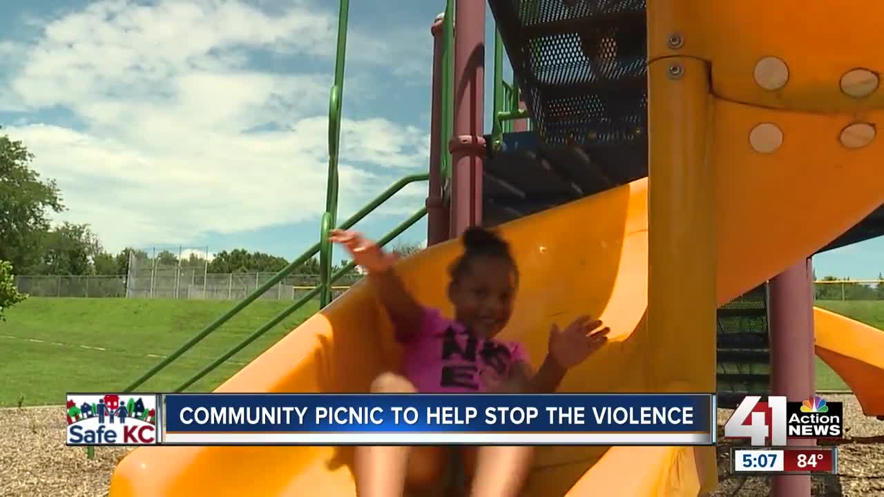 Community picnic to help stop the violence