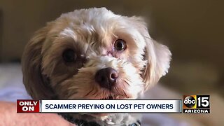 Scammer targeting Valley families on social media page who have lost pets