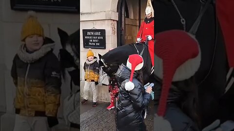 A nip on the leg #horseguardsparade