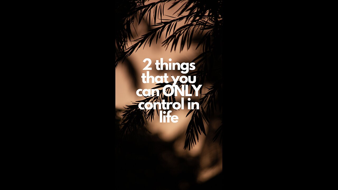 Mastering Effort and Attitude: Keys to Success in Life