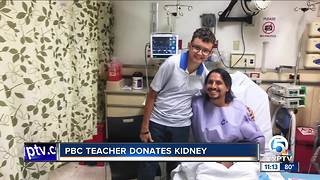 Palm Beach County teacher donates kidney