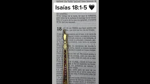 Lee la Biblia conmigo 1 minuto 📖