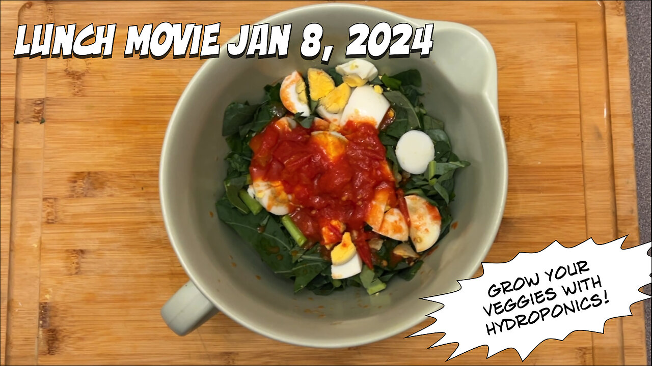 Lunch Movie 1/08/2024
