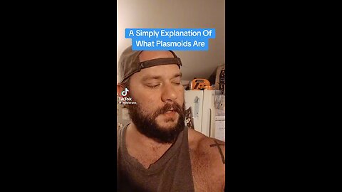 Plasmoids Explained 2024