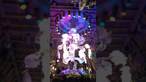 In the Tiki, Tiki, Tiki, Tiki, Tiki Room...