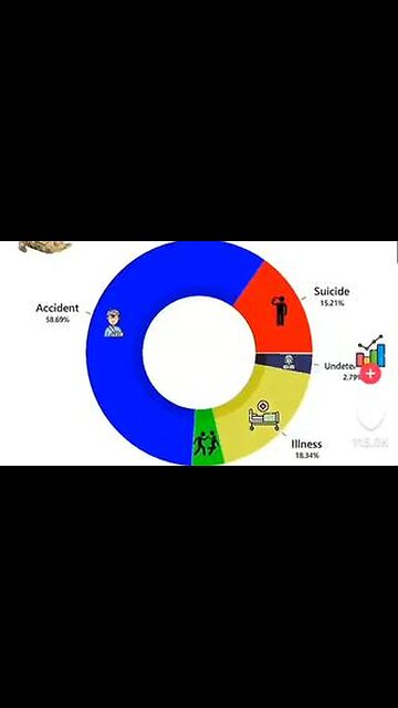 Revealing Chart of Active U.S. Military Deaths by Year