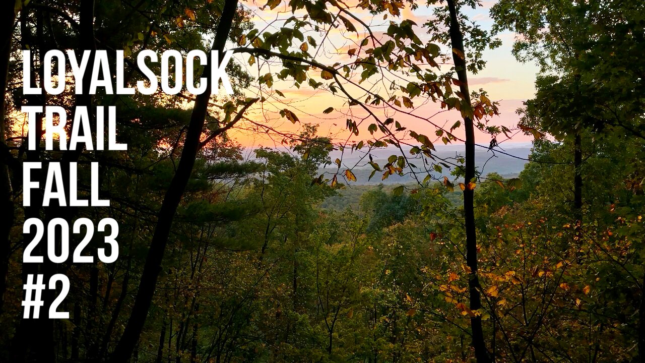 Fall Thru Hike of the Loyalsock Trail 2023 Part 2 - Pushing The Miles To Avoid The Rain