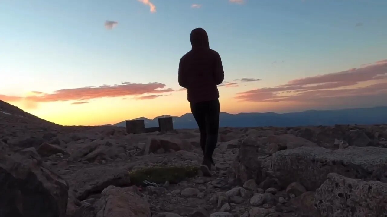 Roots #relationships