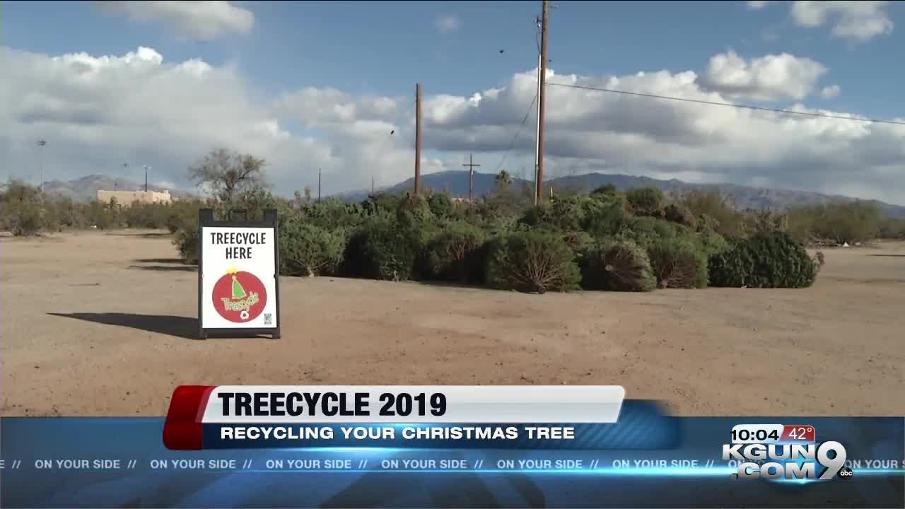 Where to recycle your Christmas tree in Tucson