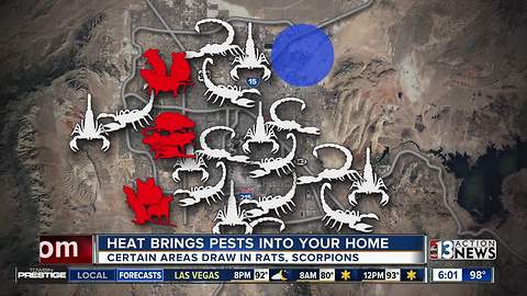 Heat draws pests into homes