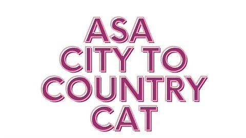 Asa, city to country cat. #shorts