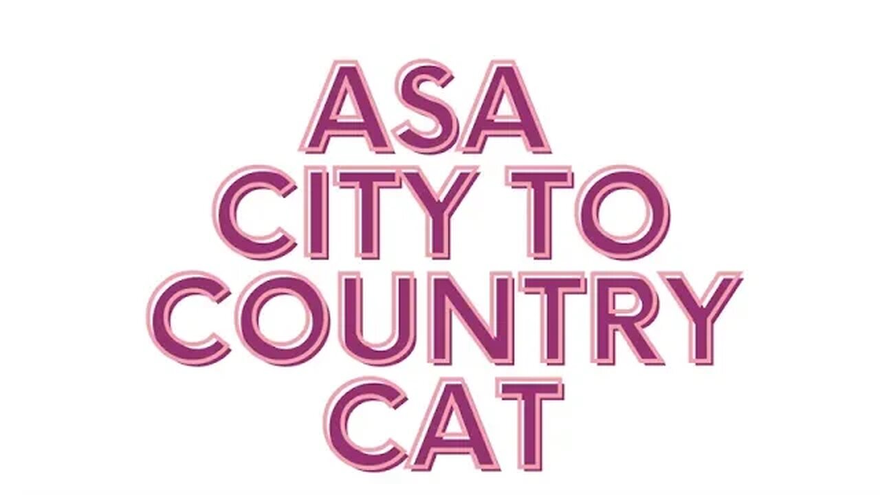 Asa, city to country cat. #shorts