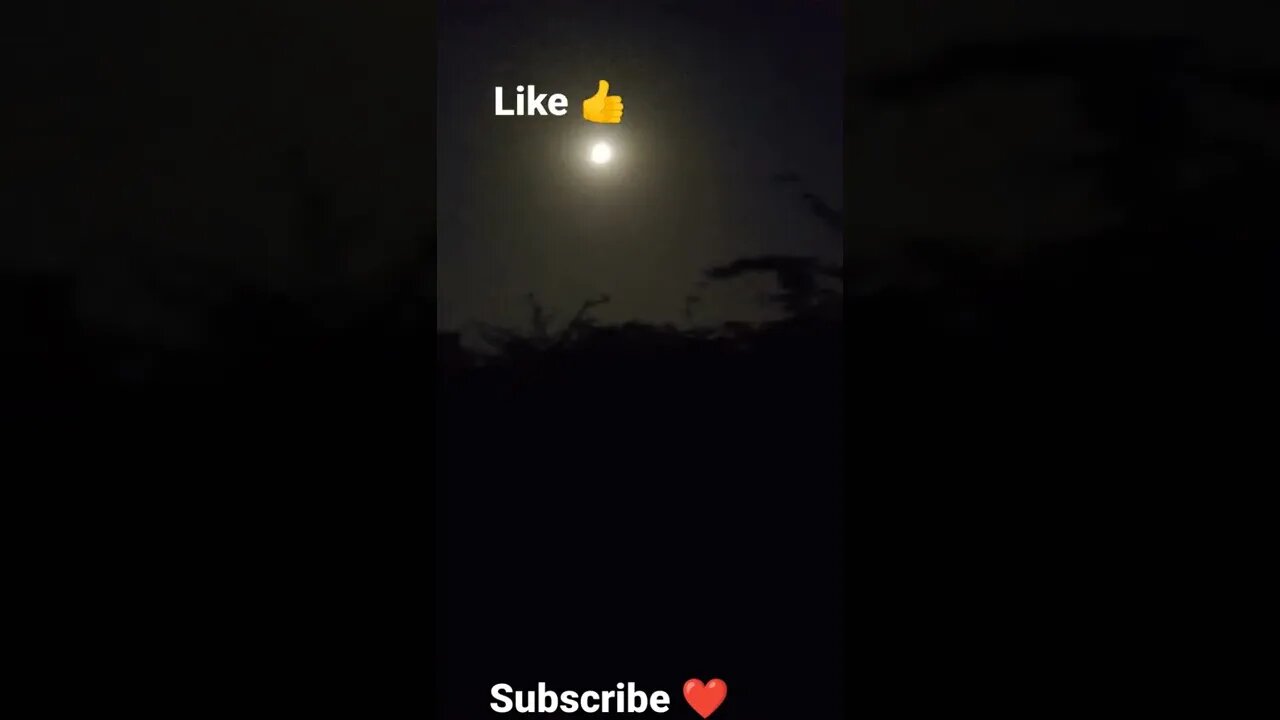 saya 😭😭 #youtubeshorts #shorts #youtube #shortvideo #shortyoutube