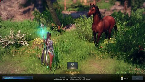 Lost Ark MMORPG Talking Animals
