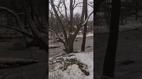 Can You Believe This Sh.... 💩