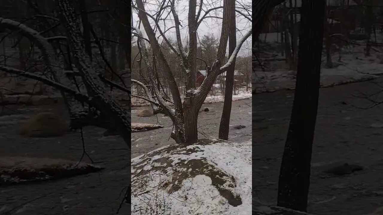 Can You Believe This Sh.... 💩