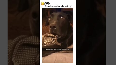 The face was priceless 😂😂