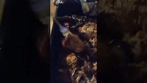 grilled to perfection