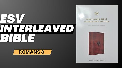 From Scripture to Life: Journaling Romans 8 in My Interleaved Bible
