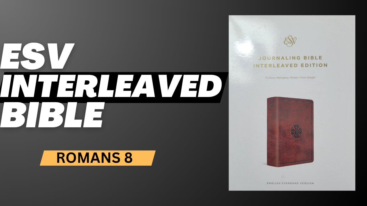 From Scripture to Life: Journaling Romans 8 in My Interleaved Bible