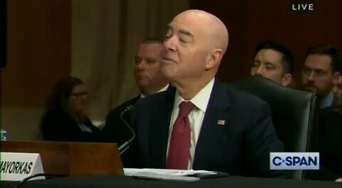 Jews will use the Holocaust as a shield for anything! 🤣🤣🤣