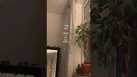 Hope His Feelings Are tiktok he is the one