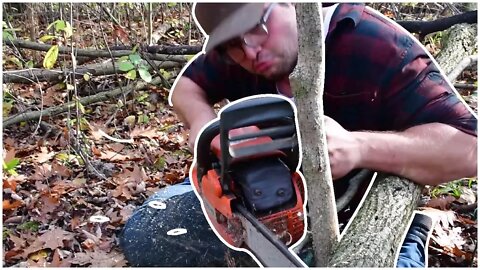 Chainsaws & New Super Mario Music