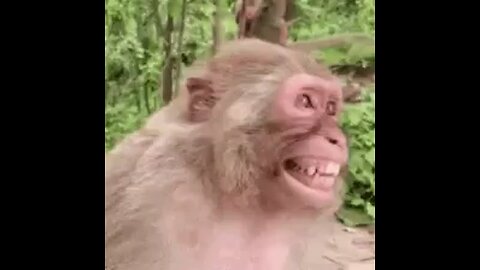 laughing