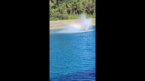 rainbow on our lakeside walk #carnivirelife