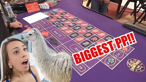 BIGGEST PP "EXTENZE" Roulette System Review