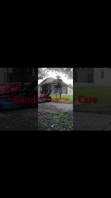 #viral #shorts #short #grass #lawn #lawncare #bermuda #sod #mowing #shortvideo #home #lawnmower