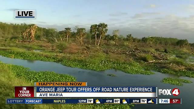 Orange Jeep Tours offers post Irma promotion