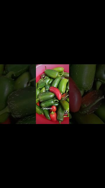 #jalapeno #jmek #caras #cuc #bun #lacur