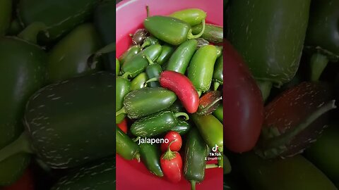 #jalapeno #jmek #caras #cuc #bun #lacur