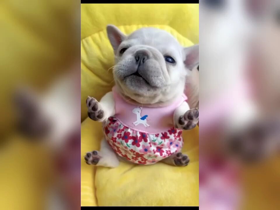 just like a baby cry