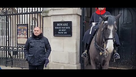 His face said it all but trying to act cool #horseguardsparade