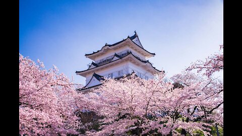 Gorgeous Castle and Park in Kanagawa Japan - Odawara Castle 小田原城