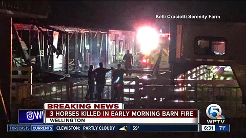 At least three horses killed in Wellington barn fire