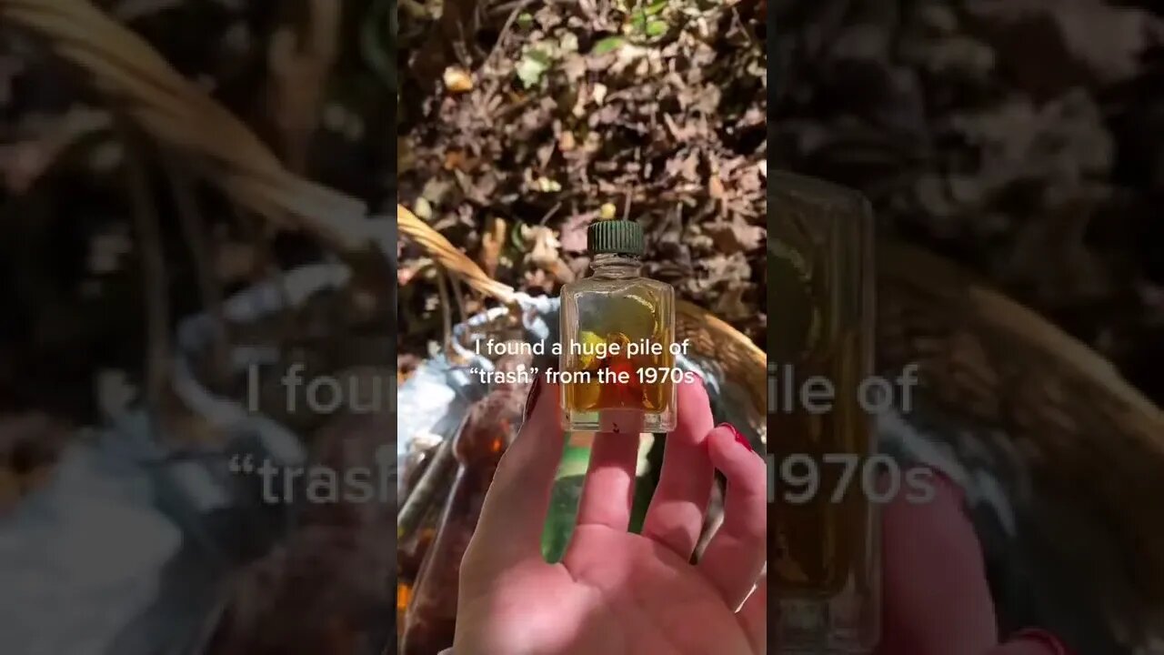 Mushroom Hunting Tiktok lactationstati0n