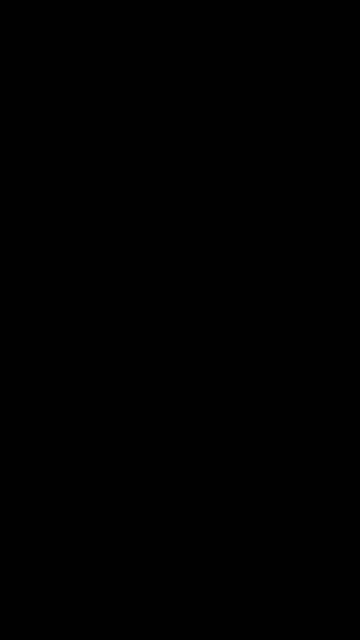 How to pronounce sports bettor