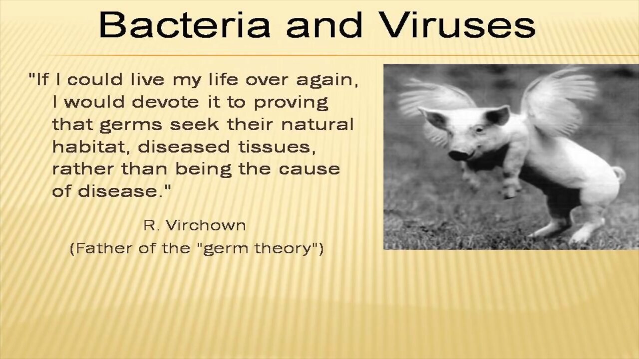 Bacteria & Viruses